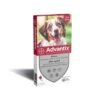 ADVANTIX CHIEN 10-25 KG 4 Pp 2 ADVANTIX CHIEN 10-25 KG 4 Pp -Animal Produits Magasin advantix chien 10 25 kg 4 pp