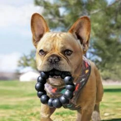 KONG Anneau Extreme Ring -Animal Produits Magasin anneau extreme ring 2