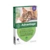 Advantix Antiparasitaire Advantage 4 Kg Et Plus -Animal Produits Magasin antiparasitaire advantage 4 kg et plus