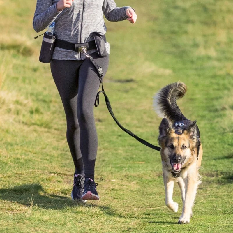 Trixie Ceinture Ventrale Avec Laisse 4 Trixie Ceinture Ventrale Avec Laisse – Image 2