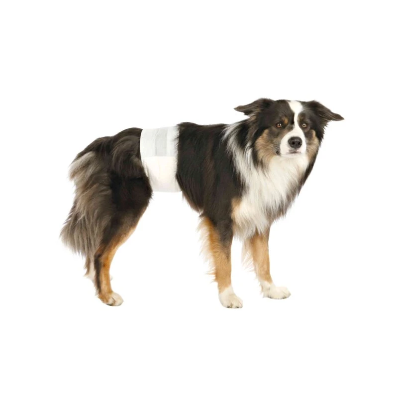 Couches Pour Chiens Mâle Trixie 5 Couches Pour Chiens Mâle Trixie – Image 3