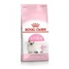 Croquettes Royal Canin Kitten -Animal Produits Magasin croquettes royal canin kitten