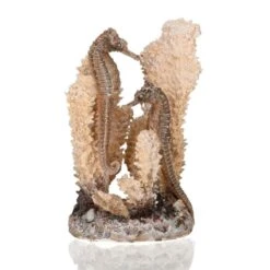 Décor Hippocampes Sur Corail Oase