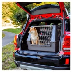 Ferplast Atlas Car 80 Scenic -Animal Produits Magasin ferplast atlas car 80 caisse de transport pour voiture 3