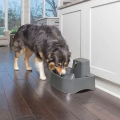 PetSafe Fontaine à Eau Drinkwell 7.5 L -Animal Produits Magasin fontaine a eau drinkwell 75 l 2