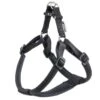 FERPLAST Harnais Daytona P Noir -Animal Produits Magasin harnais daytona p noir