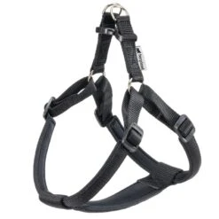 FERPLAST Harnais Daytona P Noir