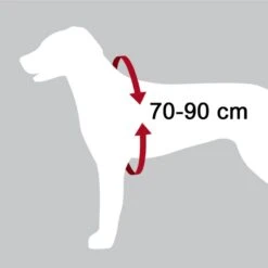 Harnais De Sécurité Pour Voiture Trixie - Taille L -Animal Produits Magasin harnais de securite pour voiture trixie taille l 4