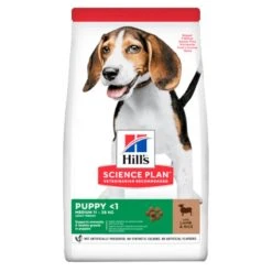 Hill's Medium Chiot Agneau & Riz 12 Kg
