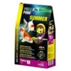 JBL Propond Summer M -Animal Produits Magasin jbl propond summer m
