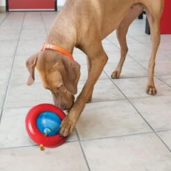 KONG Jouet Gyro -Animal Produits Magasin jouet gyro 2