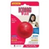 Jouet Kong Ball -Animal Produits Magasin jouet kong ball
