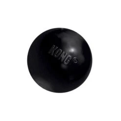Jouet Kong Extreme Ball Small
