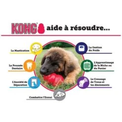 Jouet Kong Puppy 10 Jouet Kong Puppy -Animal Produits Magasin jouet kong puppy 3