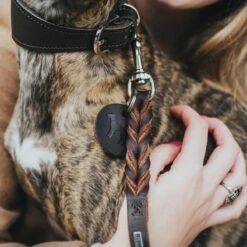 Hunter Laisse D'éducation Canin Cuir Marron -Animal Produits Magasin laisse d education canin cuir marron 2