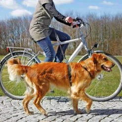 Trixie Laisse Pour Vélo Et Jogging