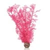 Oase Corail Rose -Animal Produits Magasin oase corail rose