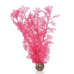 Oase Corail Rose
