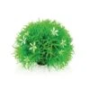 Oase Plante Boule -Animal Produits Magasin oase plante boule