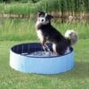 Piscine Pour Chien Trixie 80 Cm -Animal Produits Magasin piscine pour chien trixie 80 cm