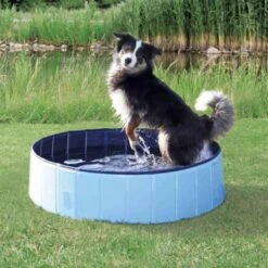 Piscine Pour Chien Trixie 80 Cm