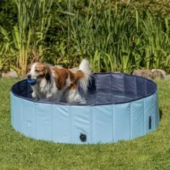 Piscine Pour Chien Trixie 80 Cm -Animal Produits Magasin piscine pour chien trixie 80 cm 6