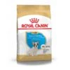 Royal Canin Bouledogue Français Junior -Animal Produits Magasin royal canin bouledogue francais junior