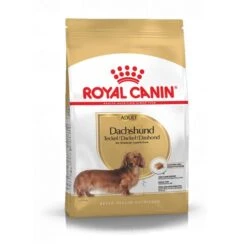 Royal Canin Teckel